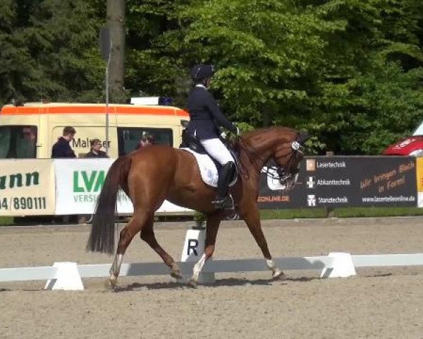 Holtkämper Dressurtage 2015
