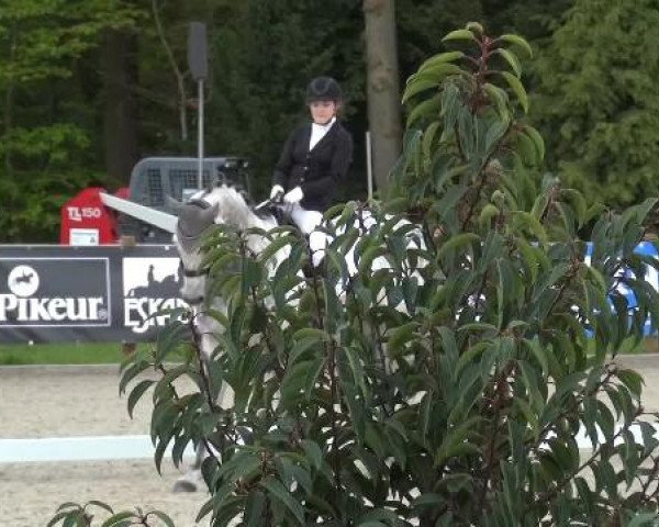 Holtkämper Dressurtage 2015