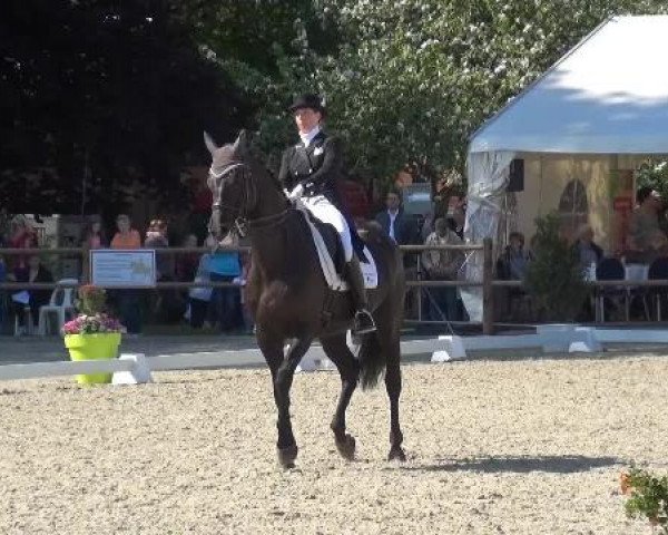Holtkämper Dressurtage 2015