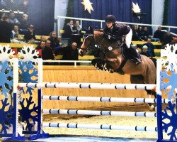 jumper Lordana L'Espoir (Holsteiner, 2008, from Lordanos)