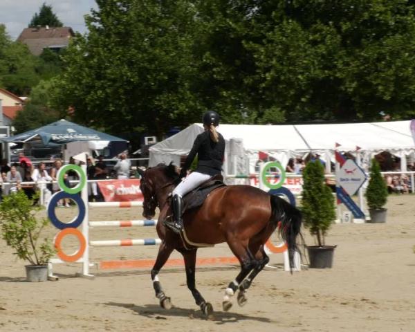 Reitturnier Heiligenwald 2026
