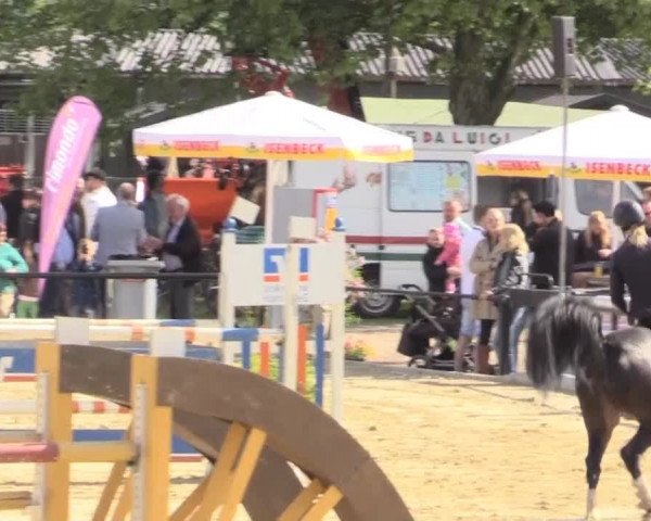 Reit - und Springturnier Hamm-Rhynern 2015