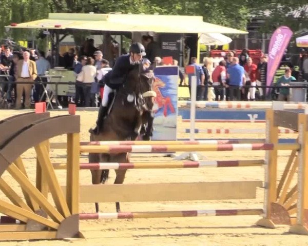 Reit - und Springturnier Hamm-Rhynern 2015