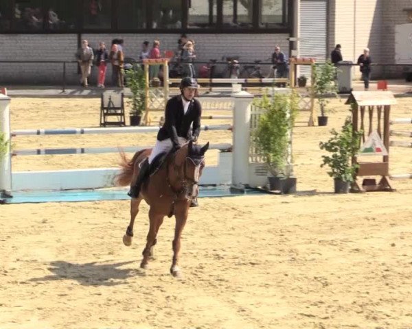 Reit - und Springturnier Hamm-Rhynern 2015