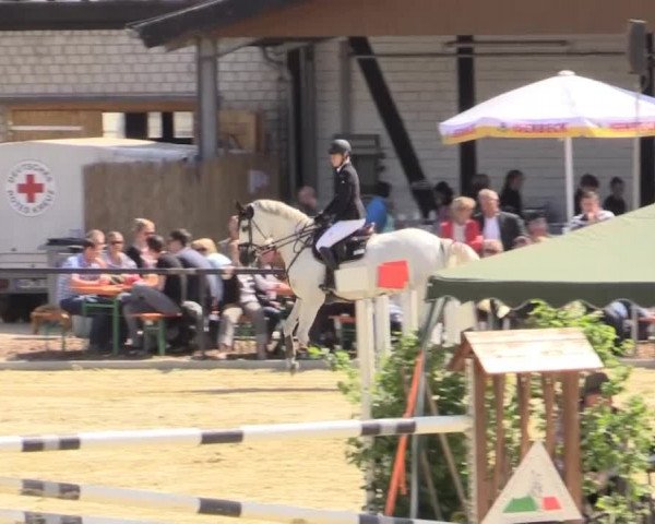 Reit - und Springturnier Hamm-Rhynern 2015