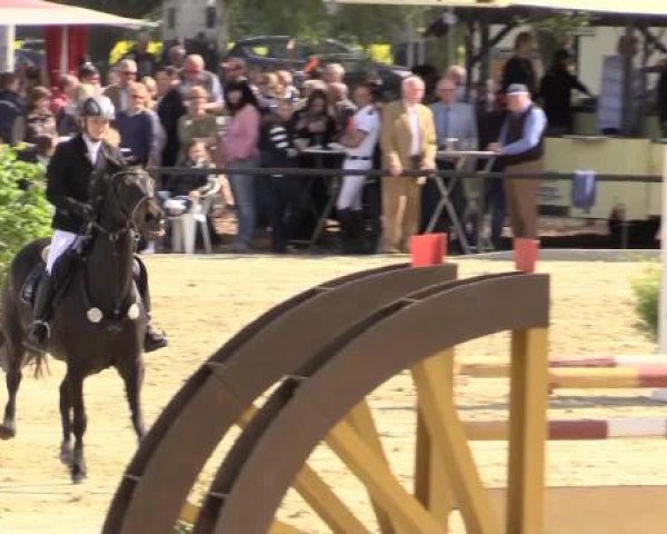 Reit - und Springturnier Hamm-Rhynern 2015
