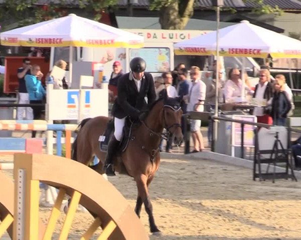 Reit - und Springturnier Hamm-Rhynern 2015