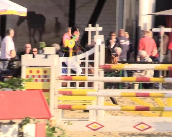 Reit - und Springturnier Hamm-Rhynern 2015