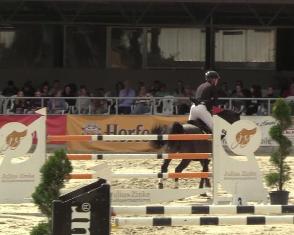 Equestrian Tournament Vlotho-Exter 2026
