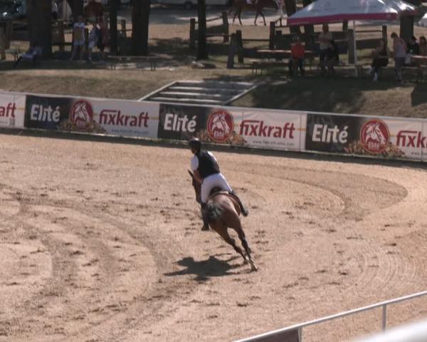 Torneio Equestre Stadl Paura 2026