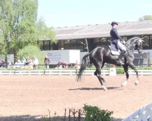 Reit - und Springturnier Hamm-Rhynern 2015