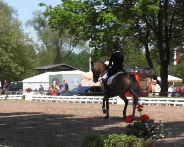 Reit - und Springturnier Hamm-Rhynern 2015