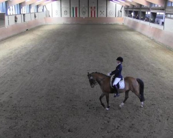 Reit - und Springturnier Hamm-Rhynern 2015