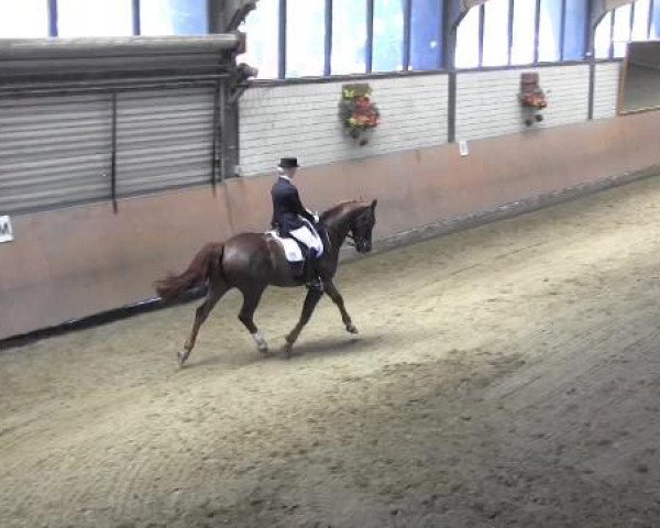 Reit - und Springturnier Hamm-Rhynern 2015