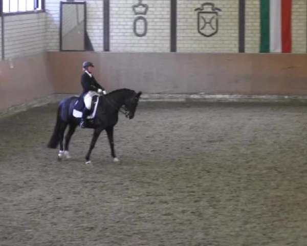 Reit - und Springturnier Hamm-Rhynern 2015