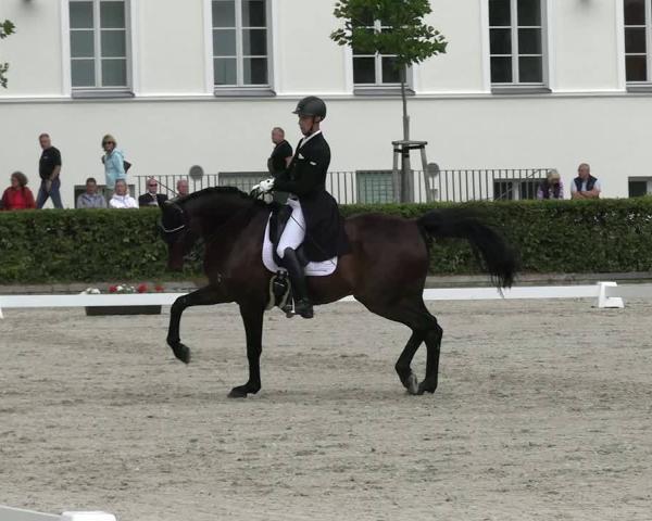Ryttartävling Neustadt/Dosse 2026