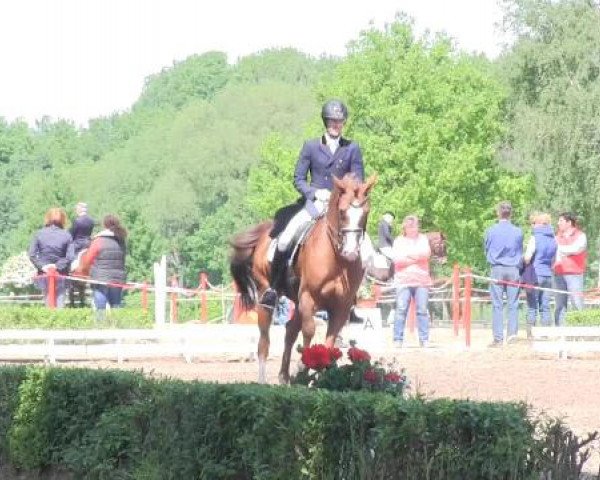 Reit - und Springturnier Hamm-Rhynern 2015
