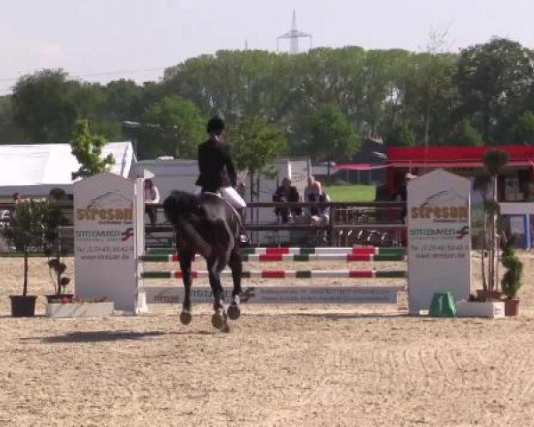 Großes Reit- und Springturnier Kirchhellen/Stall Dieckmann 2015