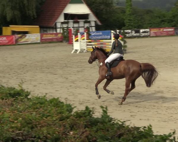 Reitturnier Vlotho-Exter 2026