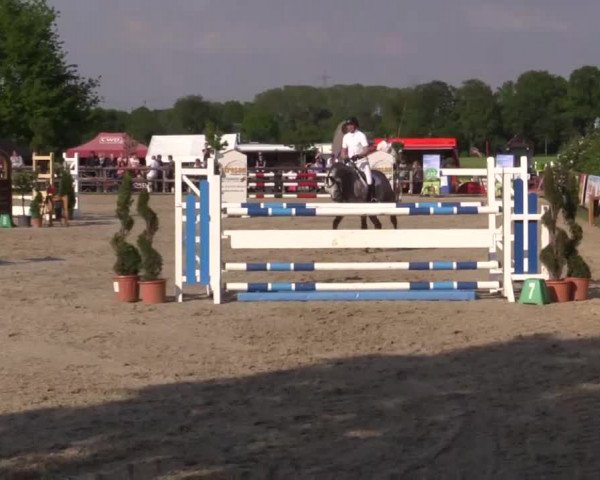 Großes Reit- und Springturnier Kirchhellen/Stall Dieckmann 2015