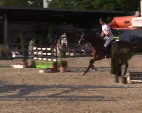 Großes Reit- und Springturnier Kirchhellen/Stall Dieckmann 2015