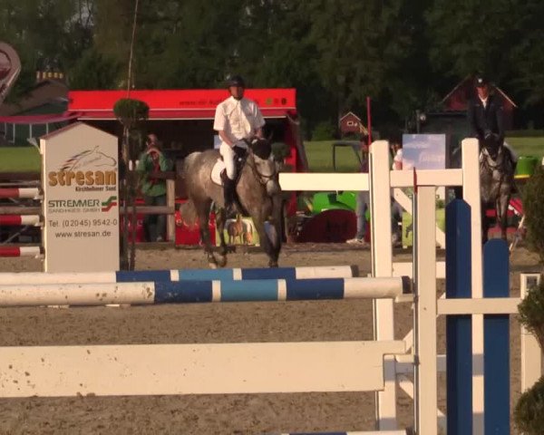Großes Reit- und Springturnier Kirchhellen/Stall Dieckmann 2015
