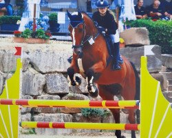 jumper Levito 8 (Holsteiner, 2009)