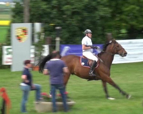 2. Limburger Springfestival 2015
