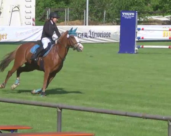 Grosses Freilandreitturnier Leingarten 2015