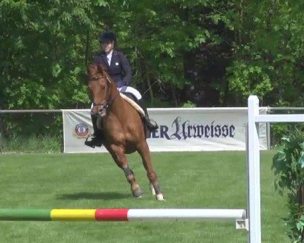 Grosses Freilandreitturnier Leingarten 2015
