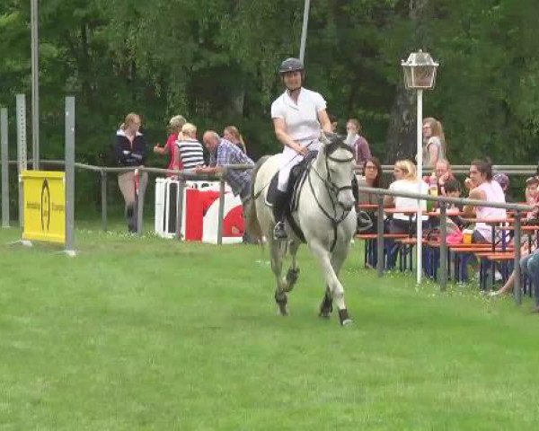 Grosses Freilandreitturnier Leingarten 2015