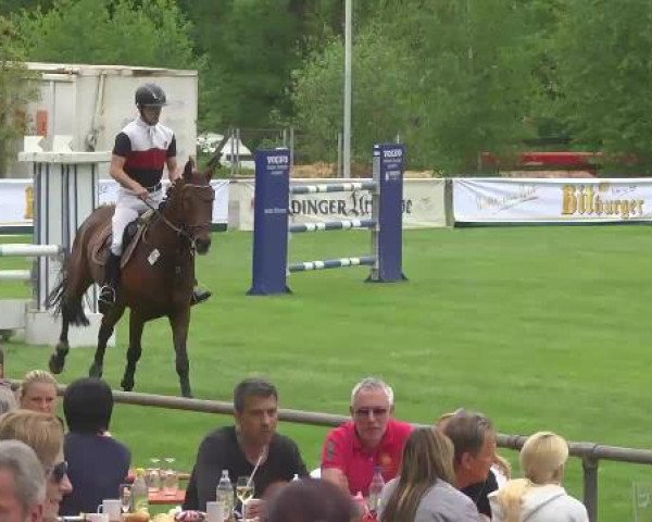 Grosses Freilandreitturnier Leingarten 2015