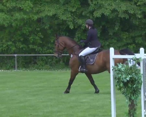 Grosses Freilandreitturnier Leingarten 2015