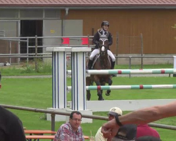 Grosses Freilandreitturnier Leingarten 2015