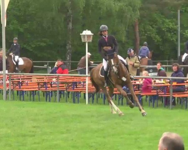 Grosses Freilandreitturnier Leingarten 2015