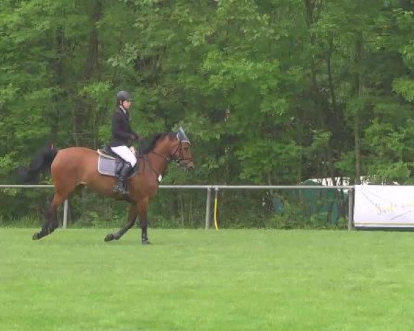 Grosses Freilandreitturnier Leingarten 2015