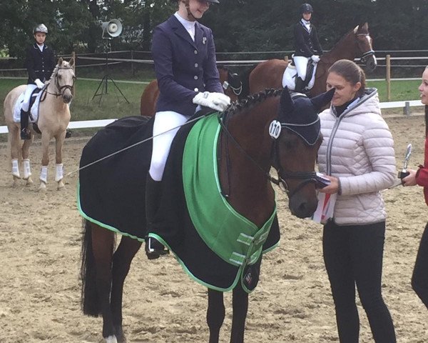 dressage horse Lecompte (Westphalian, 2000, from Lucky Strike)
