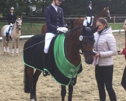 dressage horse Lecompte (Westphalian, 2000, from Lucky Strike)