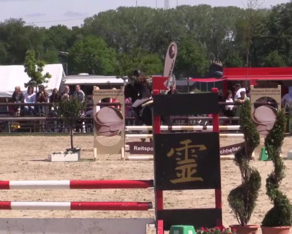 Großes Reit- und Springturnier Kirchhellen/Stall Dieckmann 2015