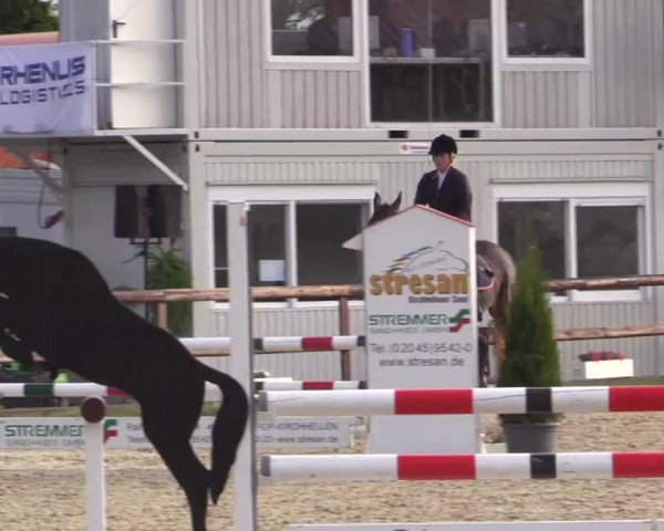 Großes Reit- und Springturnier Kirchhellen/Stall Dieckmann 2015