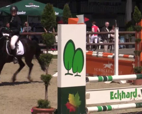 Großes Reit- und Springturnier Kirchhellen/Stall Dieckmann 2015