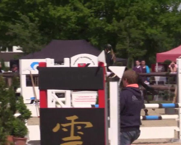 Großes Reit- und Springturnier Kirchhellen/Stall Dieckmann 2015