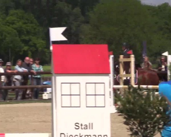Großes Reit- und Springturnier Kirchhellen/Stall Dieckmann 2015