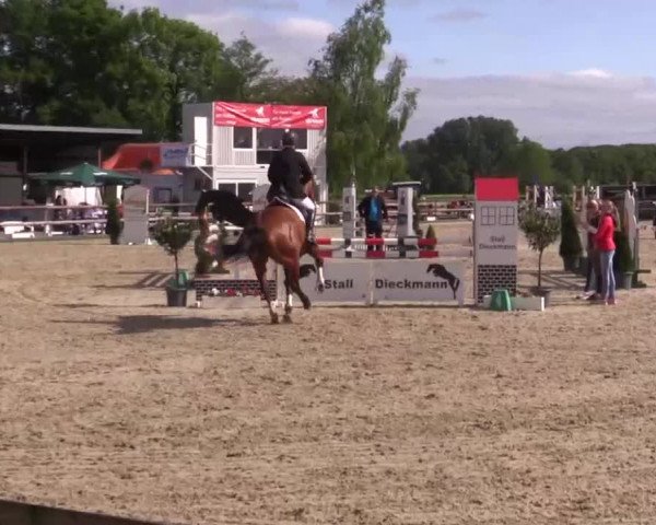 Großes Reit- und Springturnier Kirchhellen/Stall Dieckmann 2015