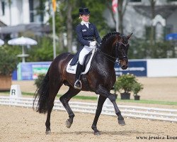 stallion Damsey FRH (Hanoverian, 2002, from Dressage Royal)
