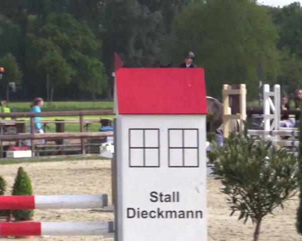 Großes Reit- und Springturnier Kirchhellen/Stall Dieckmann 2015
