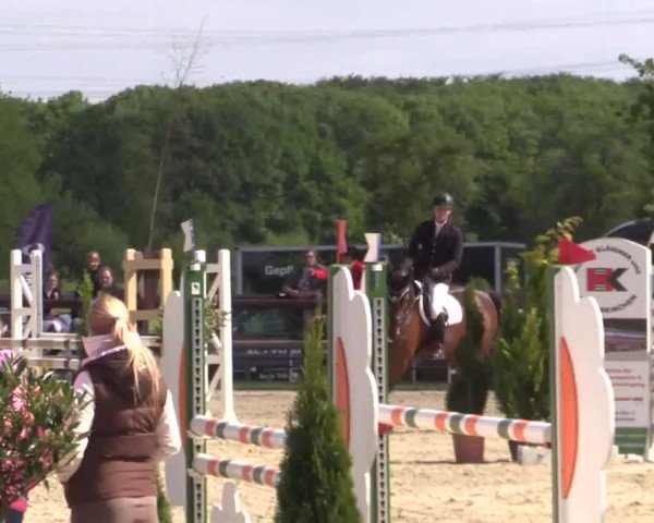 Großes Reit- und Springturnier Kirchhellen/Stall Dieckmann 2015