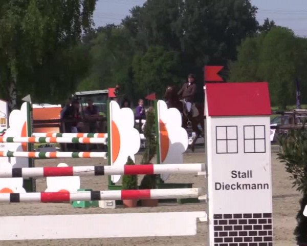Großes Reit- und Springturnier Kirchhellen/Stall Dieckmann 2015
