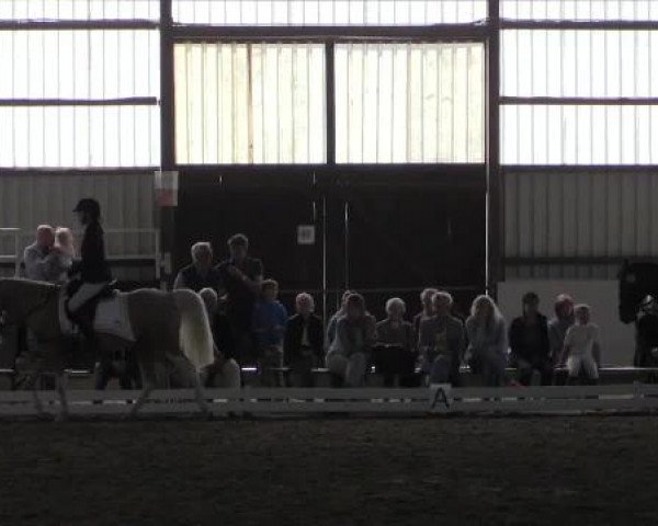 Großes Reit- und Springturnier Kirchhellen/Stall Dieckmann 2015