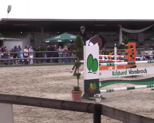Großes Reit- und Springturnier Kirchhellen/Stall Dieckmann 2015